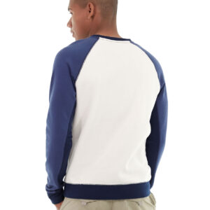 Hollister Backyard Sweatshirt - Image 3